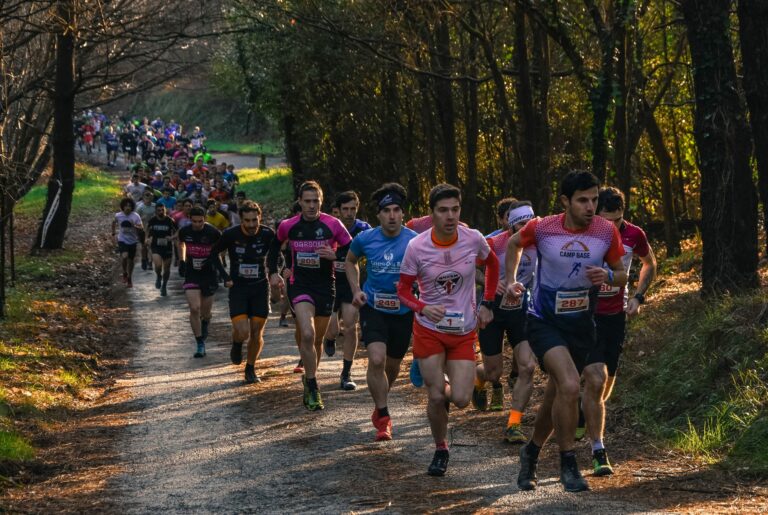 Herri Ametsa Talaia Mendi Krosa 768x515