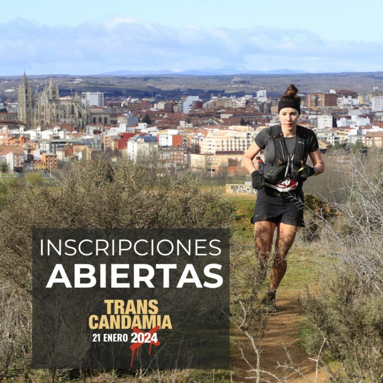 13 12 05 Transcandamia 768x768