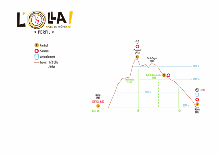 Mitja Olla grafica general 1024x721 1 768x541