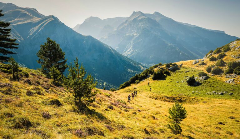 Mundial Trail Canfranc 2025 Uphill 6K 768x445